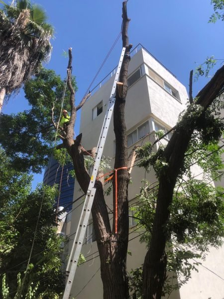 WhatsApp Image 2025-12-15 at 20.05.03 (1)