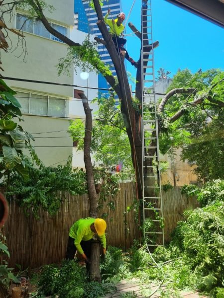 WhatsApp Image 2025-12-15 at 20.05.04