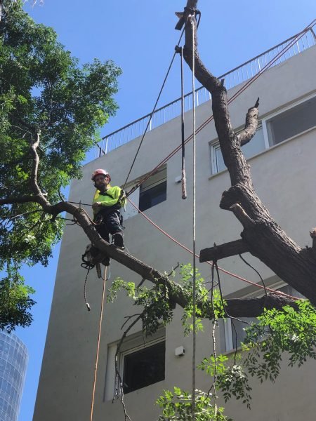 WhatsApp Image 2025-12-15 at 20.05.07