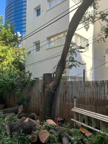 WhatsApp Image 2025-12-15 at 20.05.08