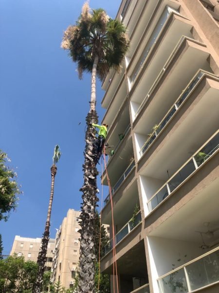 WhatsApp Image 2025-12-15 at 20.05.10