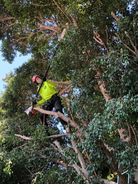 WhatsApp Image 2025-12-15 at 20.05.12