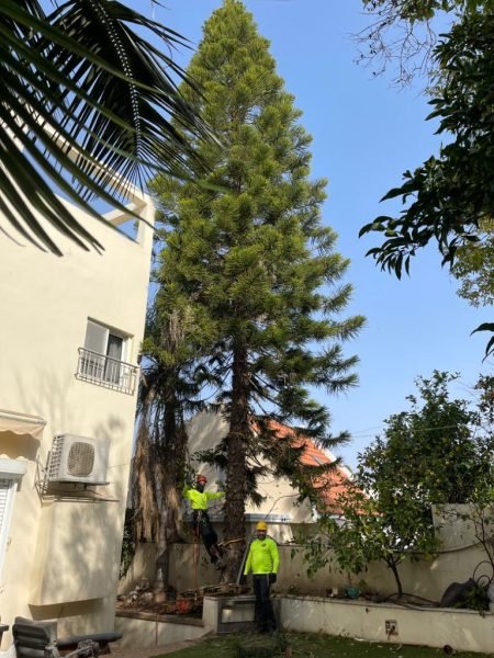 WhatsApp Image 2025-12-15 at 20.05.13