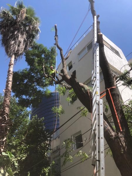 WhatsApp Image 2025-12-15 at 20.05.16