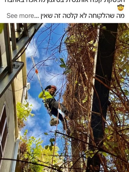 WhatsApp Image 2025-12-15 at 20.05.29 (1)