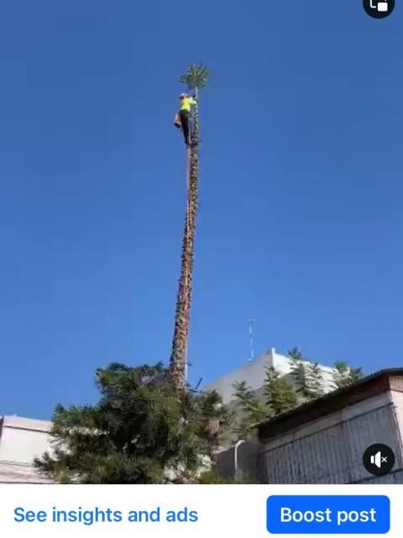 WhatsApp Image 2025-12-15 at 20.05.29