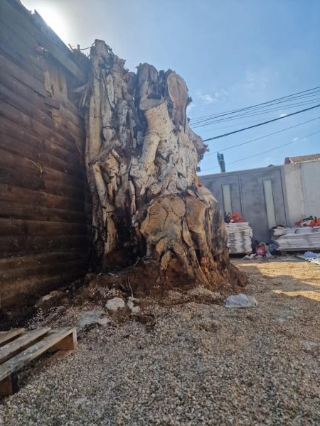 WhatsApp Image 2025-12-15 at 20.05.32 (1)