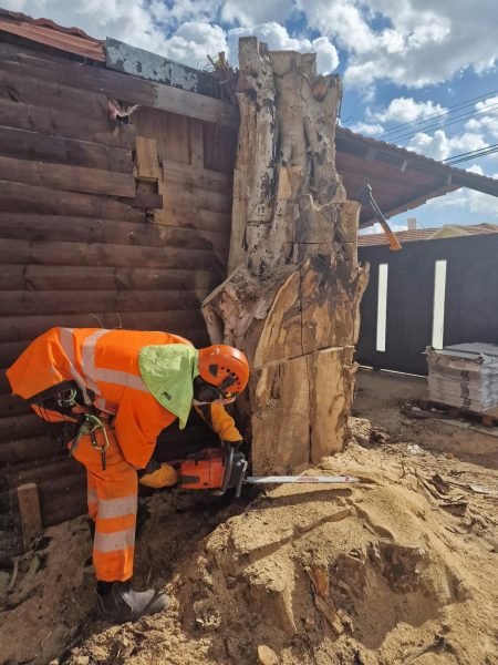 WhatsApp Image 2025-12-15 at 20.05.32