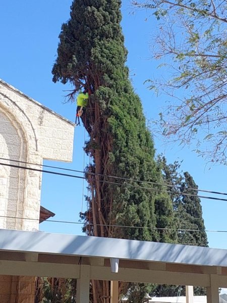 WhatsApp Image 2025-12-15 at 20.05.33 (1)