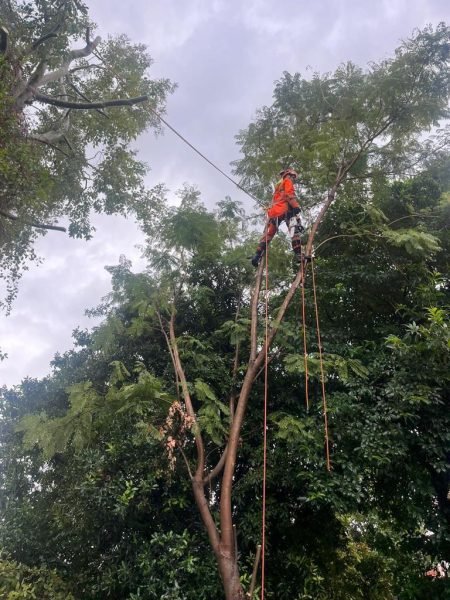 WhatsApp Image 2025-12-15 at 20.05.33