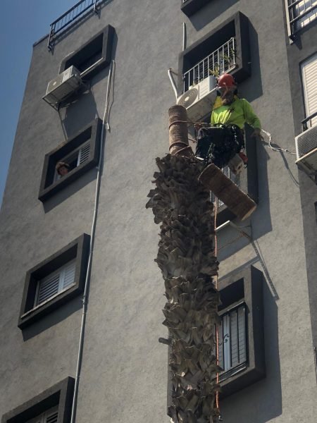 WhatsApp Image 2025-12-15 at 20.05.34