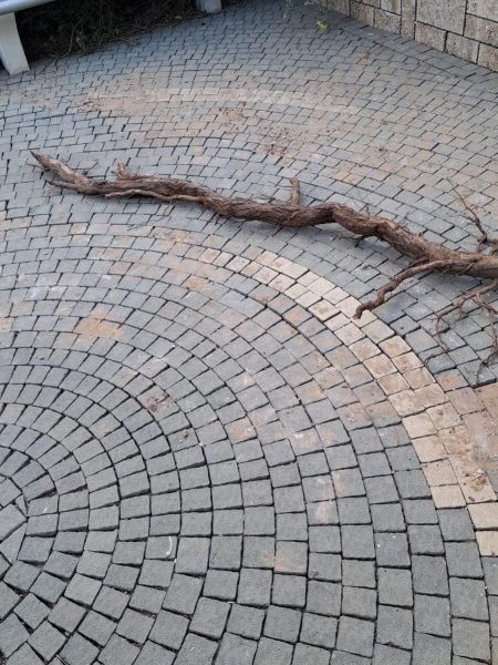 WhatsApp Image 2025-12-15 at 20.05.35 (1)