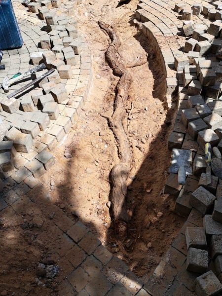 WhatsApp Image 2025-12-15 at 20.05.35