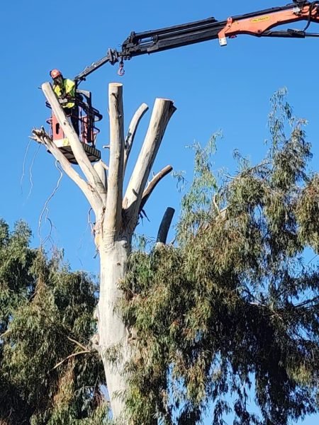 WhatsApp Image 2025-12-15 at 20.05.36 (1)