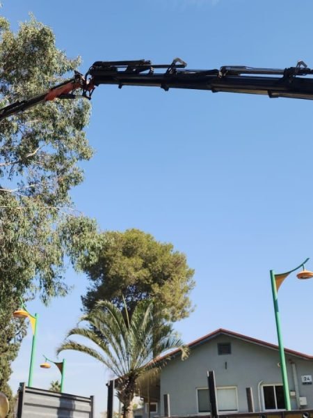 WhatsApp Image 2025-12-15 at 20.05.36