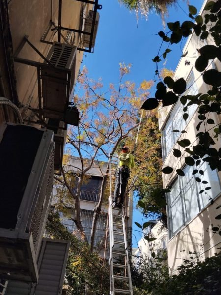 WhatsApp Image 2025-12-15 at 20.05.37