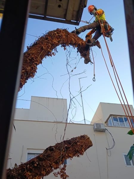 WhatsApp Image 2025-12-15 at 20.05.38