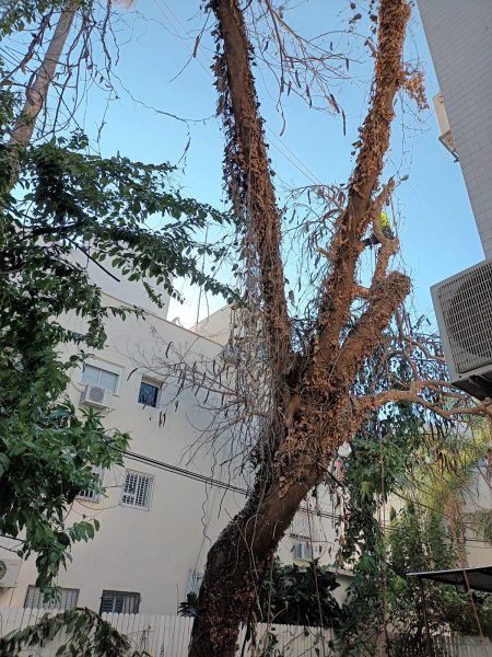 WhatsApp Image 2025-12-15 at 20.05.39