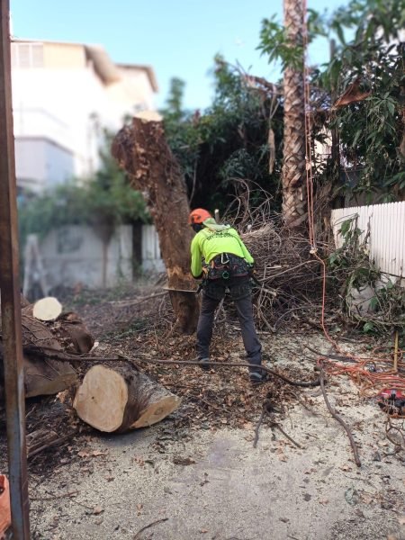 WhatsApp Image 2025-12-15 at 20.05.40 (1)