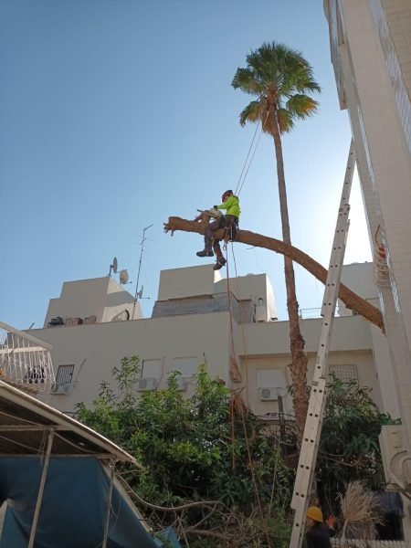 WhatsApp Image 2025-12-15 at 20.05.40