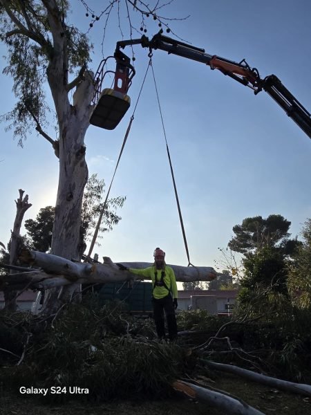 WhatsApp Image 2025-12-15 at 20.05.41 (1)