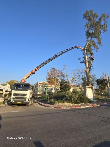 WhatsApp Image 2025-12-15 at 20.05.41