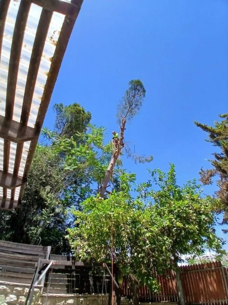 WhatsApp Image 2025-12-15 at 20.05.46