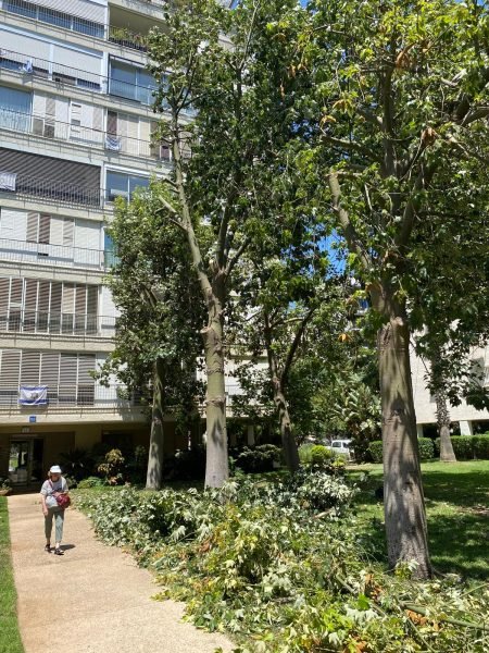 WhatsApp Image 2025-12-15 at 20.05.47 (1)