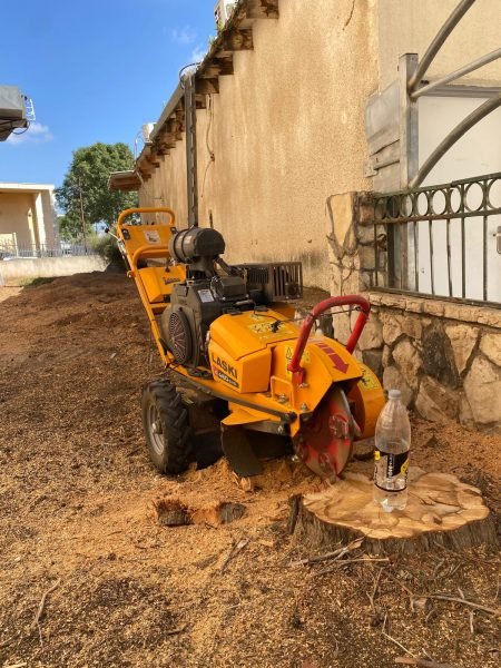 WhatsApp Image 2025-12-15 at 20.05.47 (2)