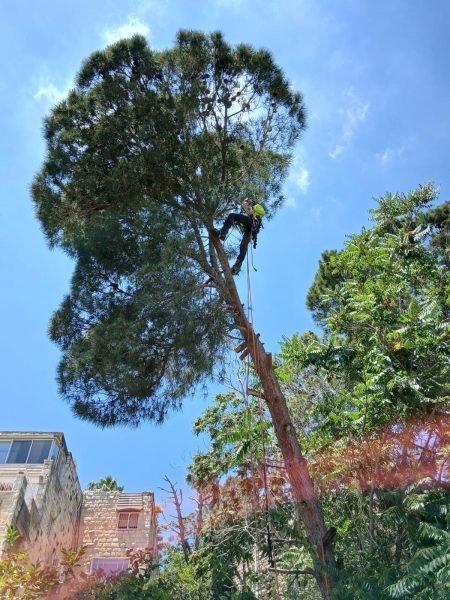 WhatsApp Image 2025-12-15 at 20.05.47