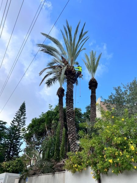 WhatsApp Image 2025-12-15 at 20.05.48 (1)