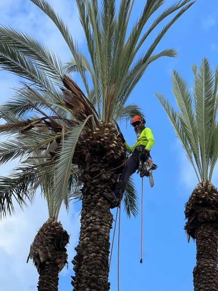 WhatsApp Image 2025-12-15 at 20.05.48