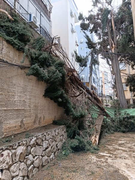 WhatsApp Image 2026-01-17 at 22.34.10