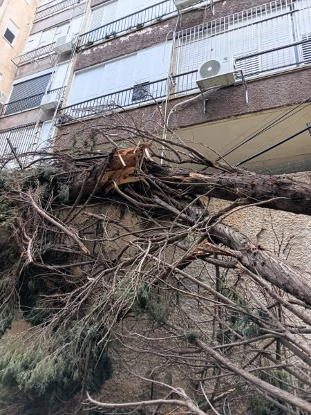 WhatsApp Image 2026-01-17 at 22.34.10(1)