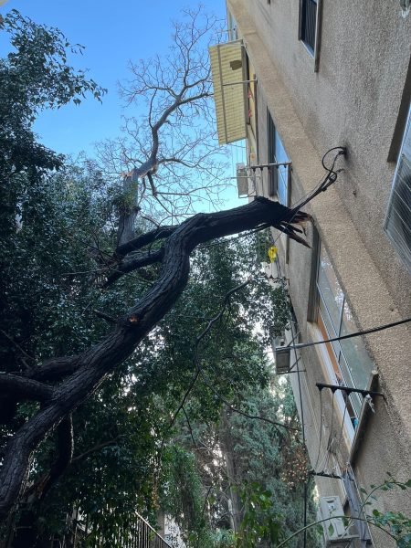 WhatsApp Image 2026-01-18 at 07.26.34