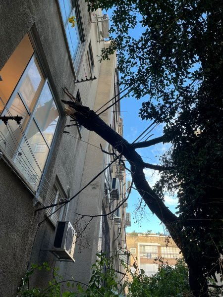 WhatsApp Image 2026-01-18 at 07.26.34(1)