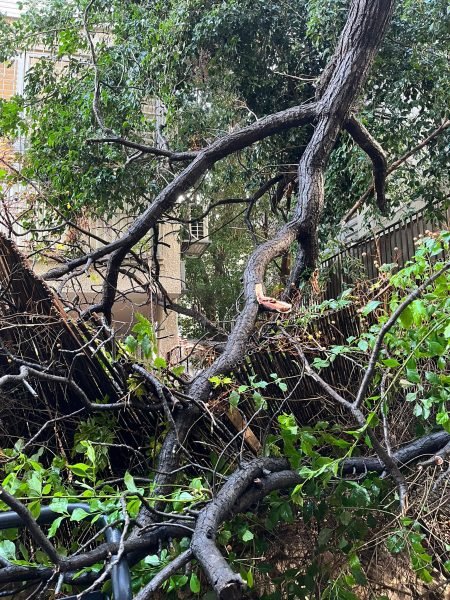 WhatsApp Image 2026-01-18 at 07.26.34(2)